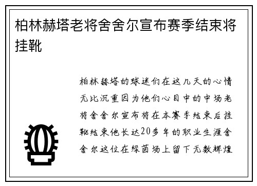 柏林赫塔老将舍舍尔宣布赛季结束将挂靴