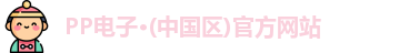 PP电子